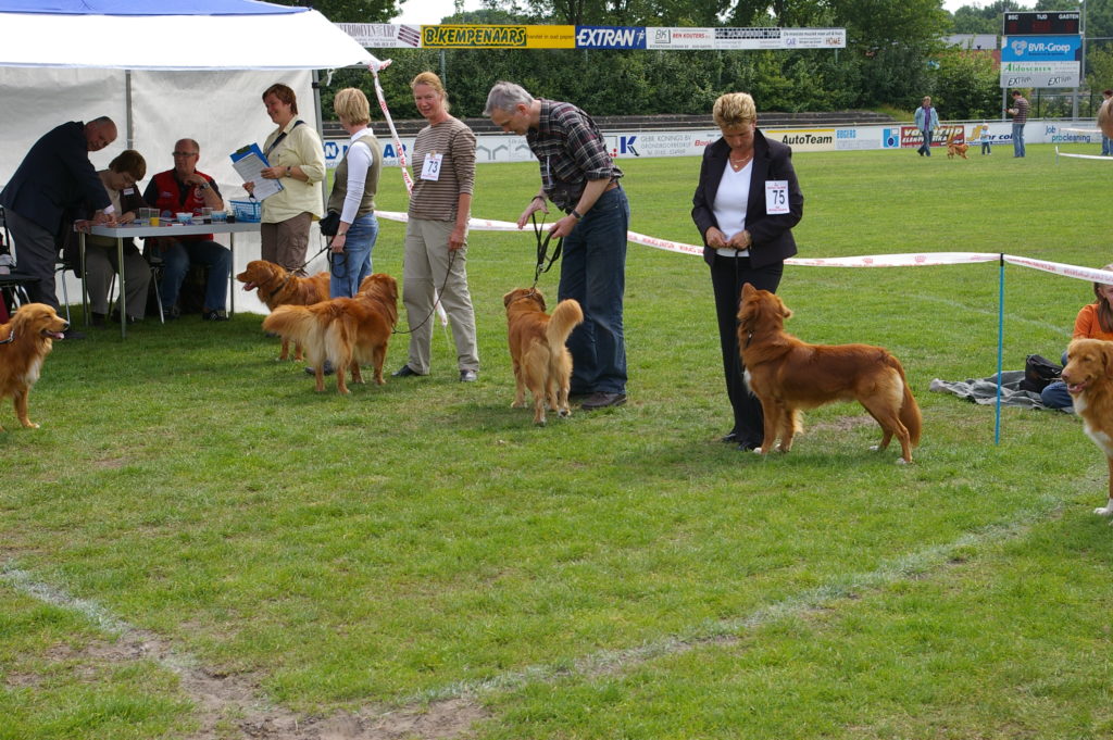 Tollerfestival 2007